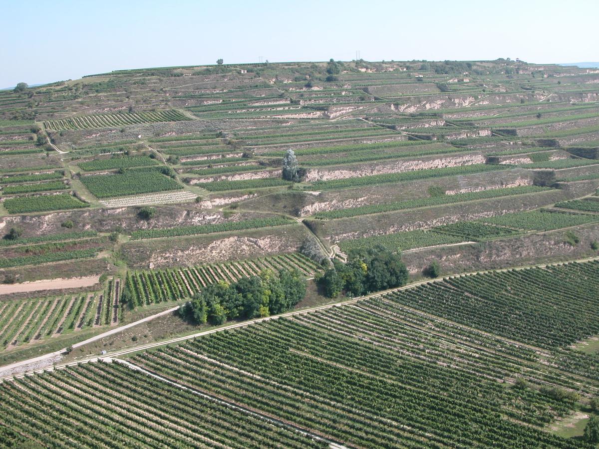 Weingut Und Gaestehaus Berger Gedersdorf Exterior foto