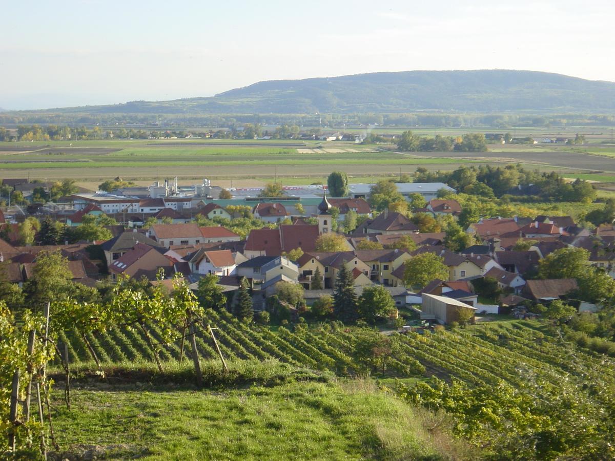 Weingut Und Gaestehaus Berger Gedersdorf Exterior foto